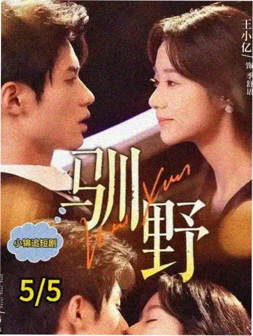 静默的河 剧集海报